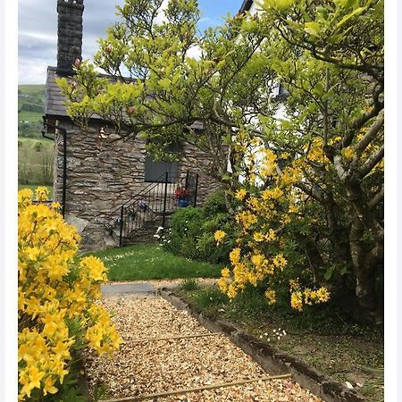 Hares Hideaway At Coed Moelfa Bed and Breakfast Corwen Exterior foto