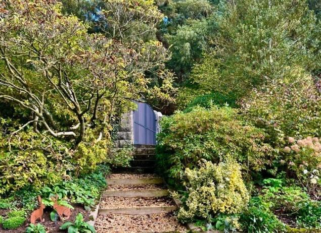 Hares Hideaway At Coed Moelfa Bed and Breakfast Corwen Exterior foto