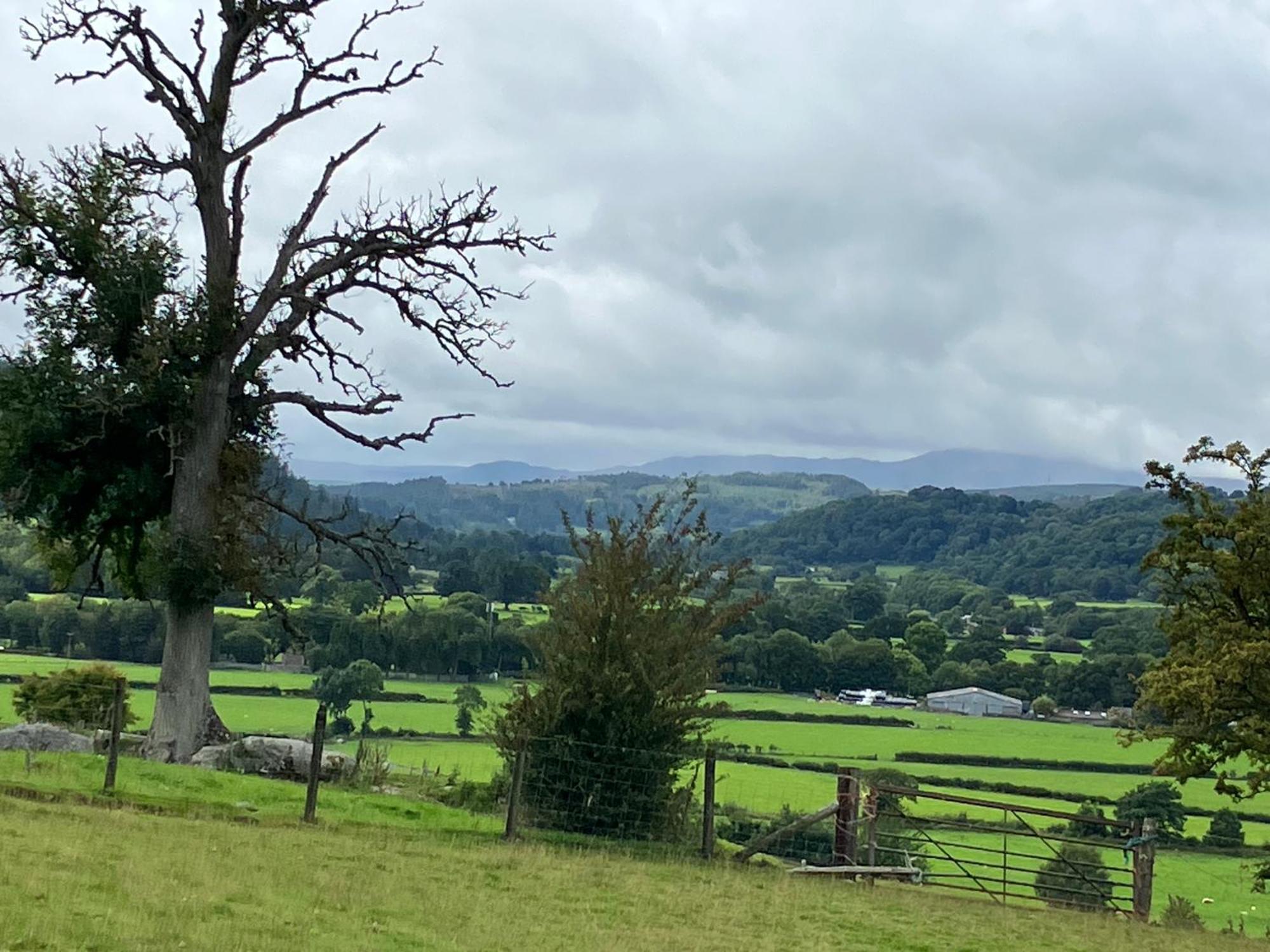 Hares Hideaway At Coed Moelfa Bed and Breakfast Corwen Exterior foto